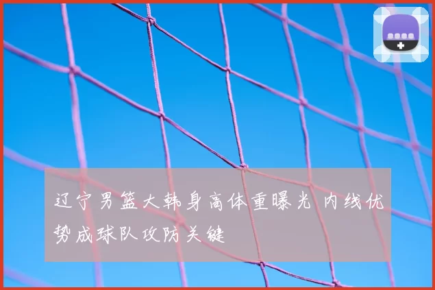 辽宁男篮大韩身高体重曝光 内线优势成球队攻防关键