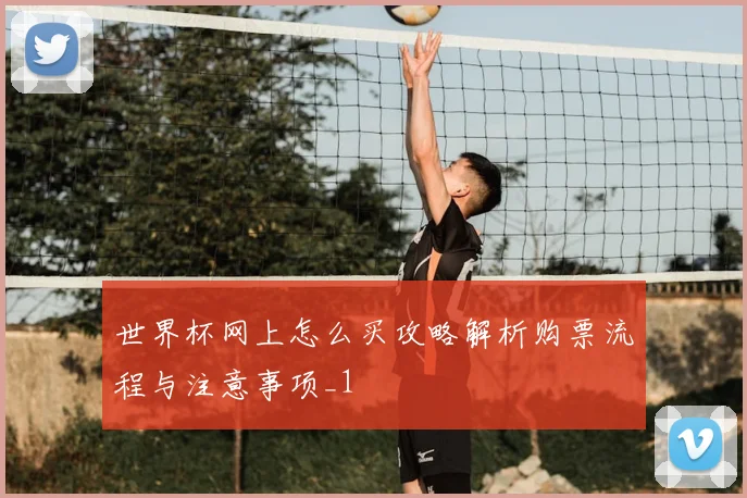 世界杯网上怎么买攻略解析购票流程与注意事项_1