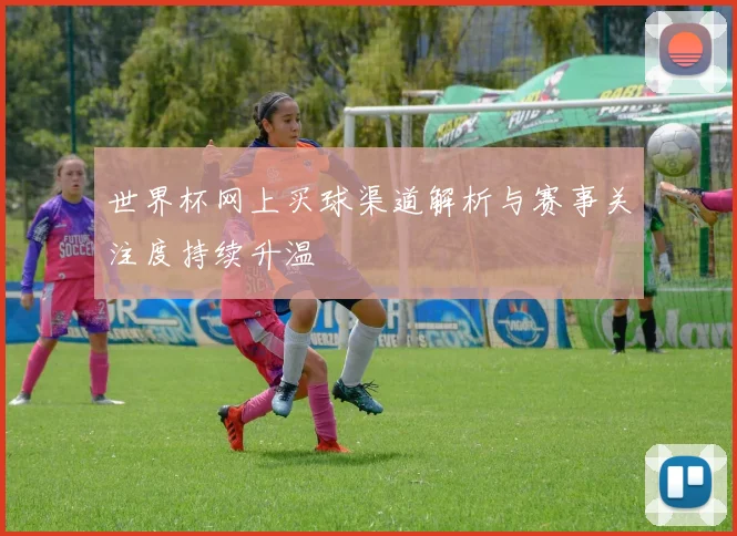 世界杯网上买球渠道解析与赛事关注度持续升温